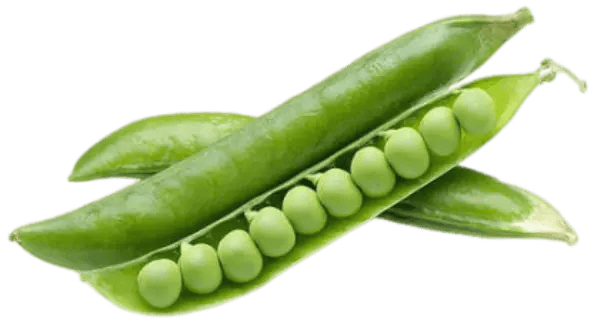Green-Peas