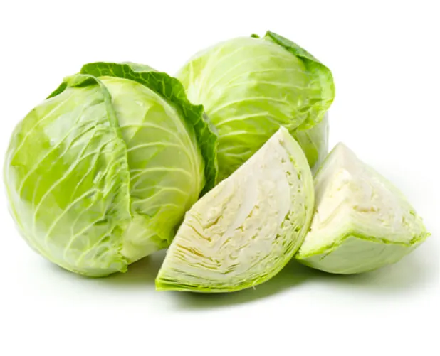 Cabbage