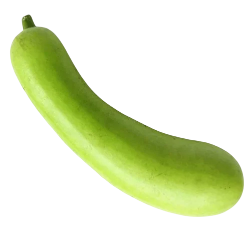 Bottle-Gourd