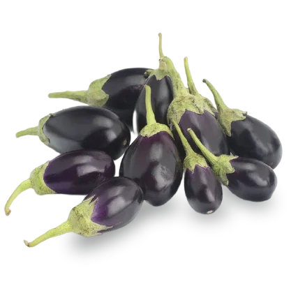 Brinjal