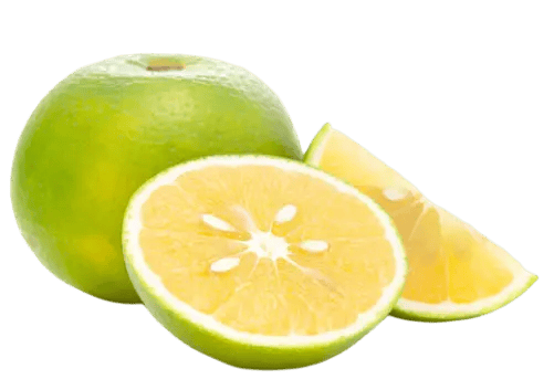 Mosambi
