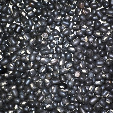Urad-Dal