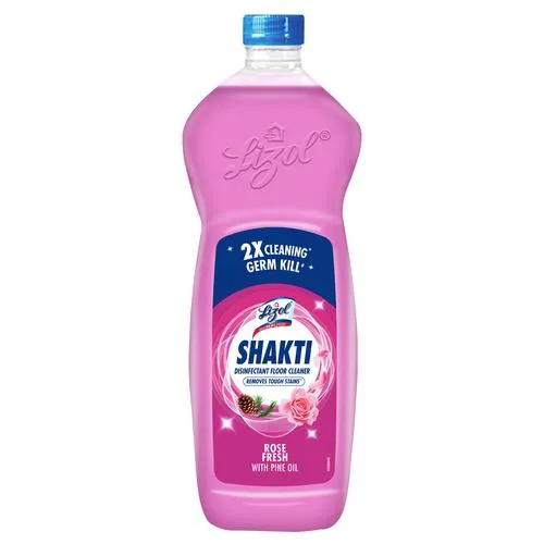 Shakti