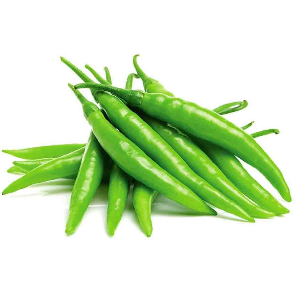 Green chili pepper